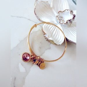 Alex and Ani February Birthstone Bracelet